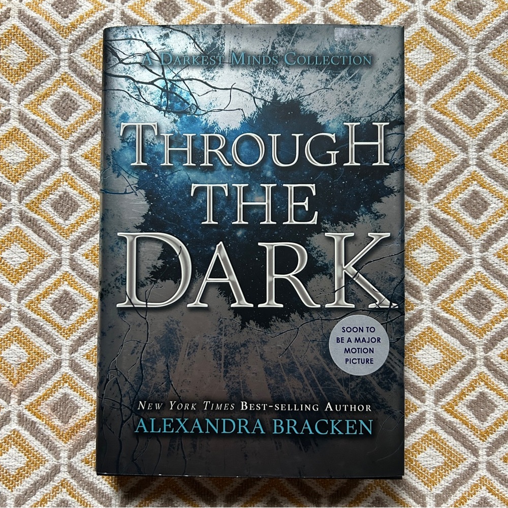Through the Dark by Alexandra Bracken Book